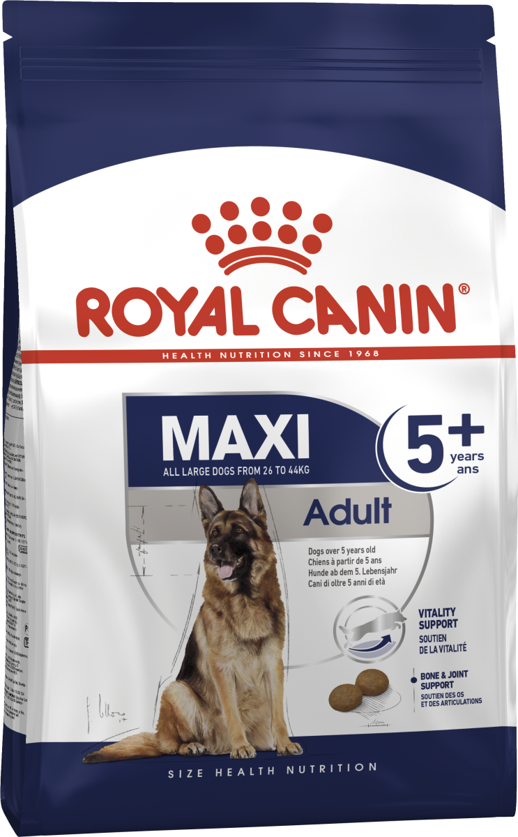 Сухой корм для собак с 5 до 8 лет Royal Canin Maxi Adult 5+ Dog 
