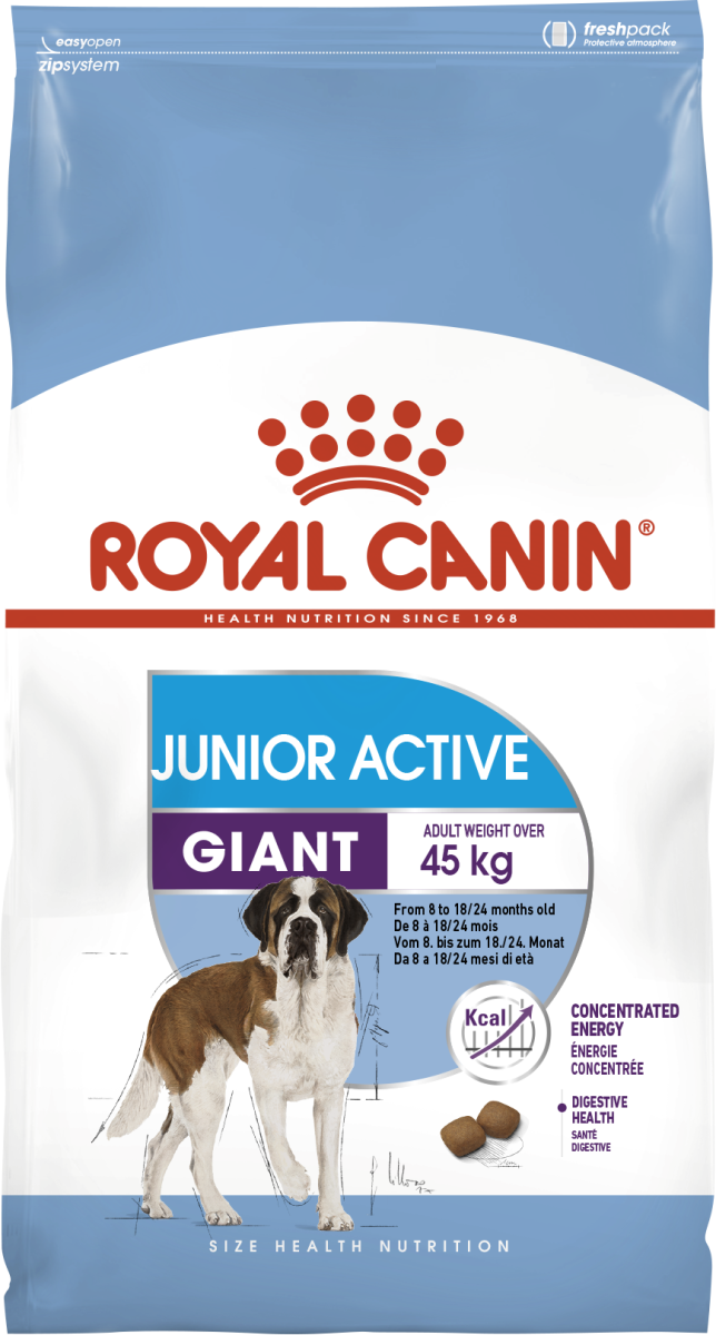Сухий корм для цуценят з високими енергетичними потребами з 8 до 18/24 місяців Royal Canin Giant Junior Active