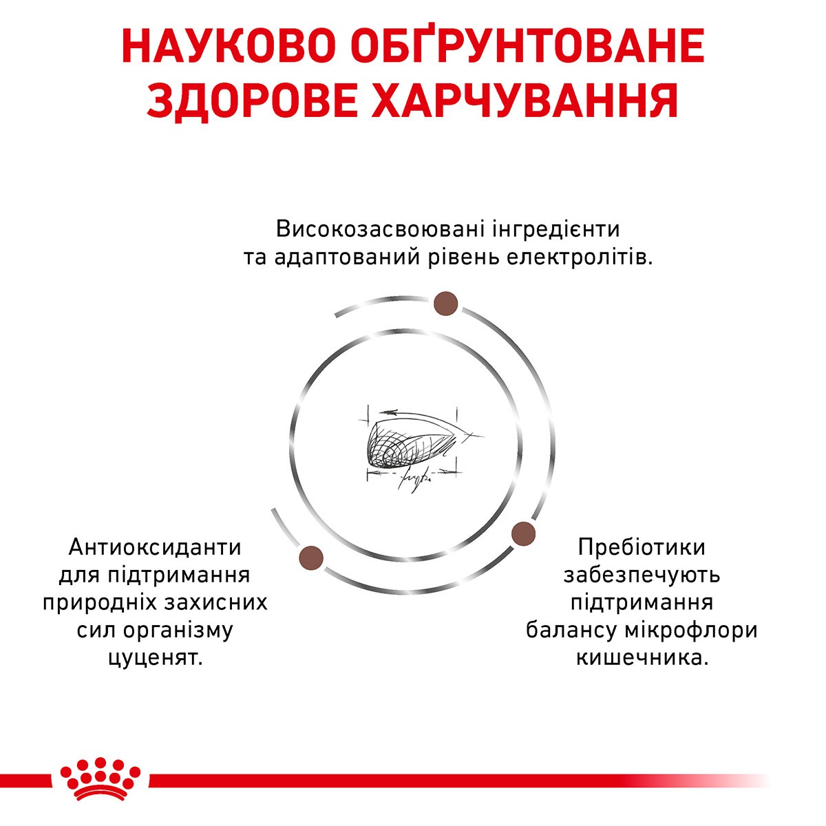 Сухий лікувальний корм для цуценят при гострих розладах травлення Royal Canin Veterinary Gastrointestinal Puppy