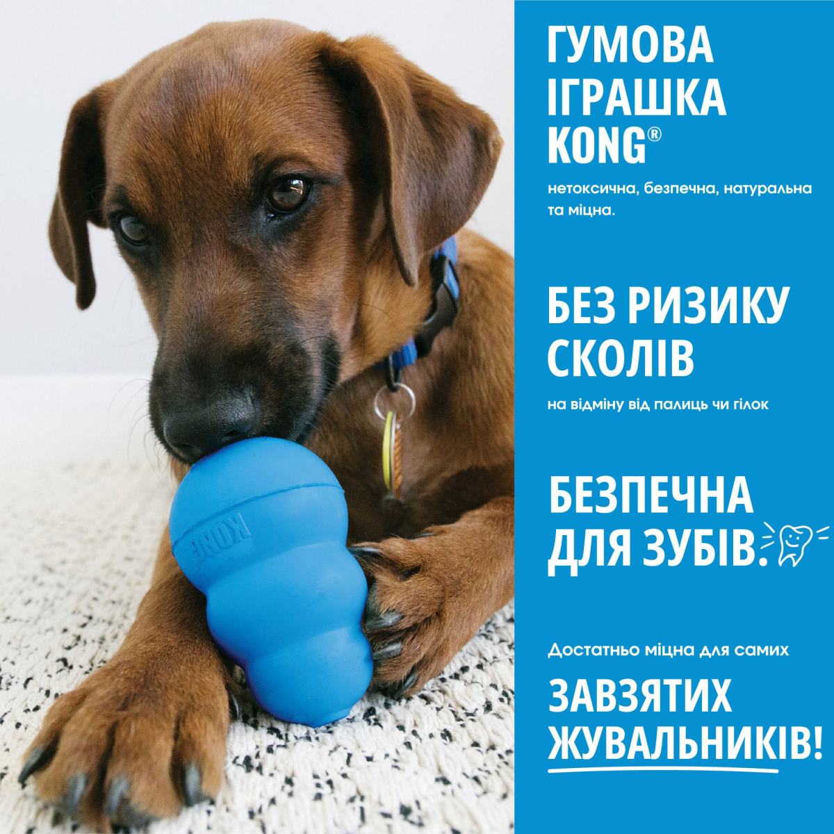KONG Puppy Goodie Bone Blue Жевательная игрушка для щенков Голубая Косточка для лакомств