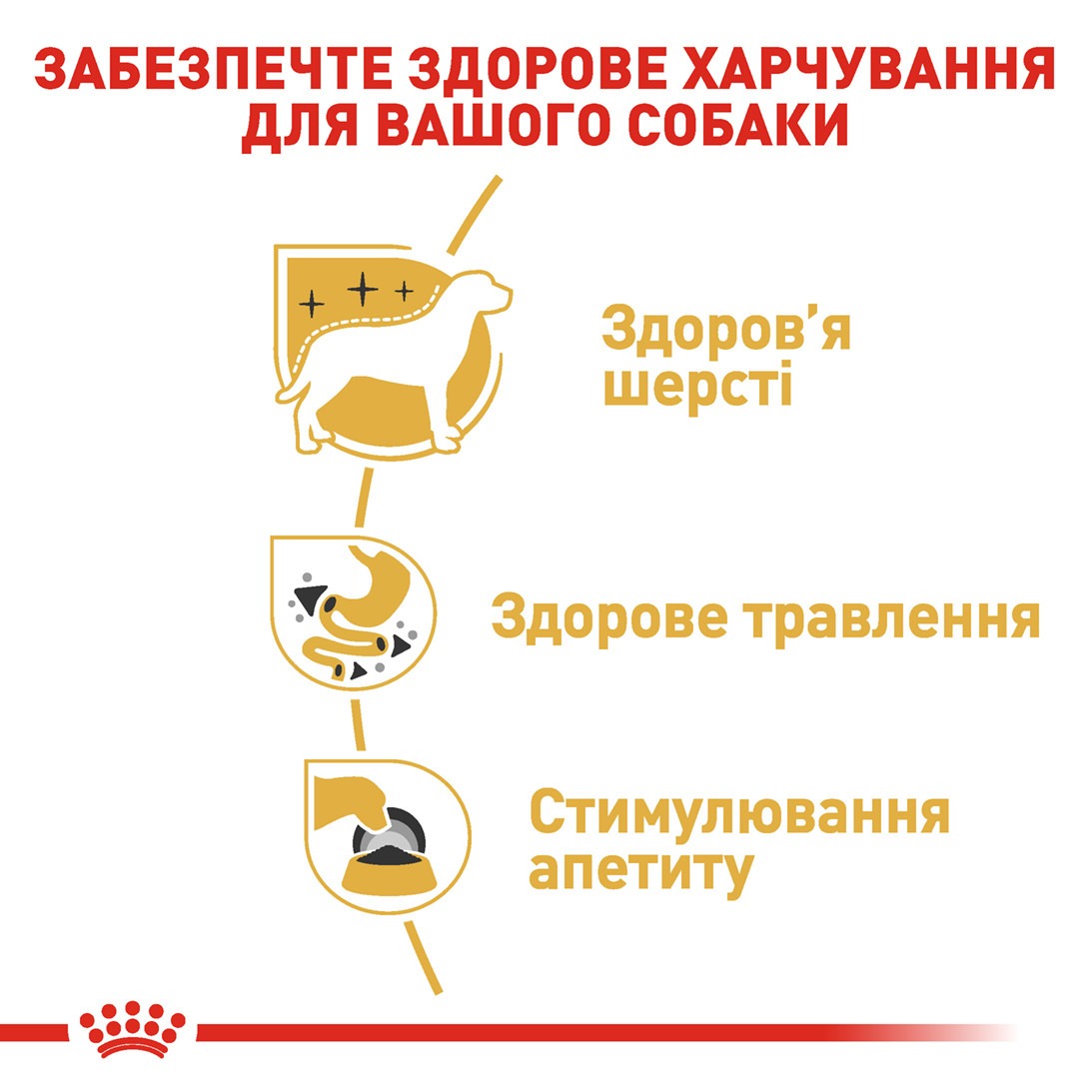 Вологий корм для собак породи Чихуахуа віком від 8 місяців Royal Canin Chihuahua Adult