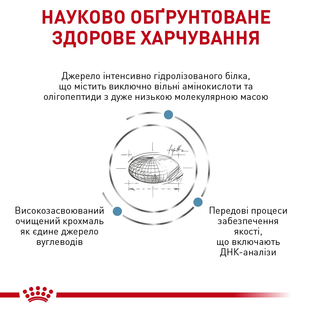 Сухий лікувальний корм для собак маленьких порід при харчовій алергії Royal Canin Veterinary Anallergenic Small Dogs