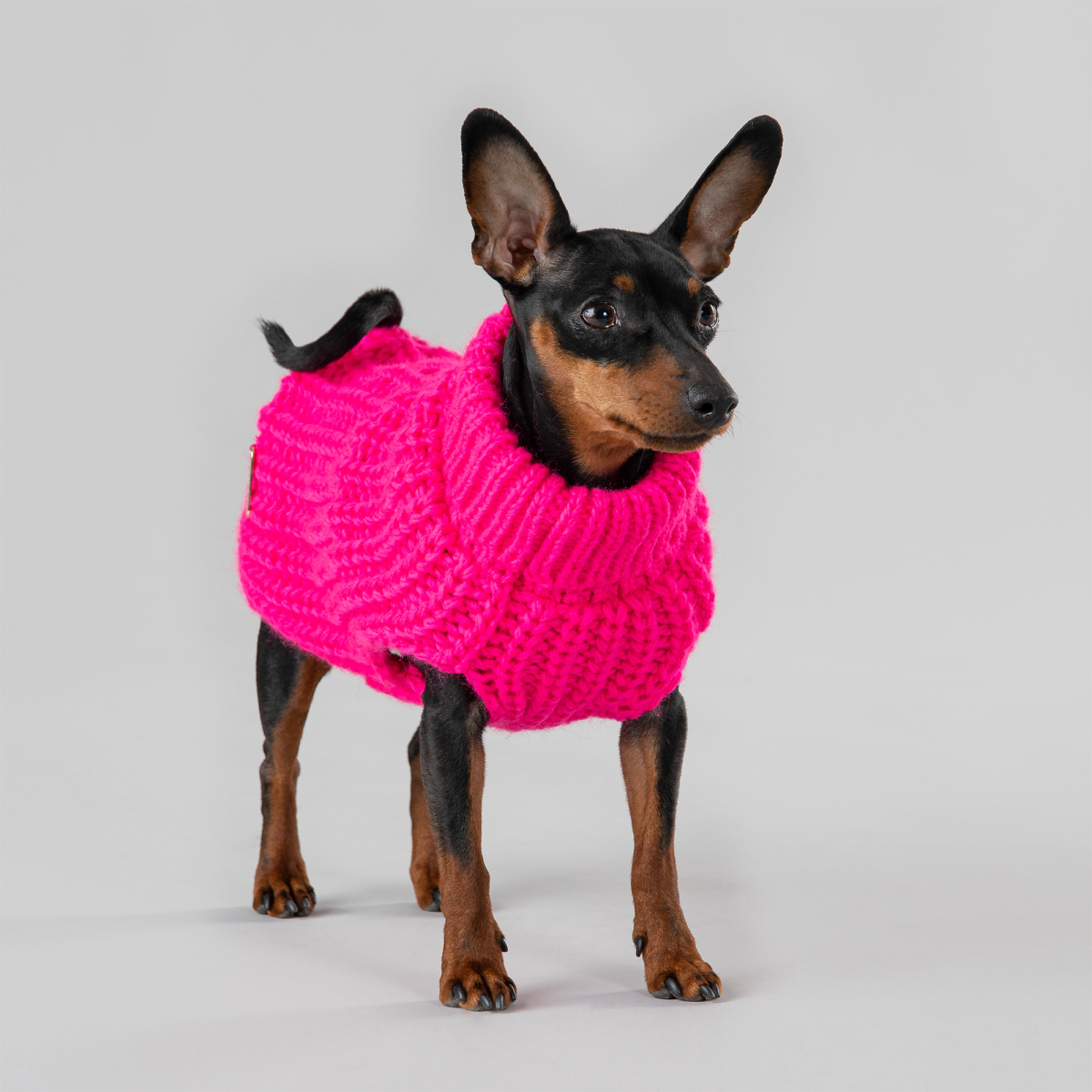 Вязаный розовый свитер ручной работы из овечьей шерсти для собак PAIKKA Knit Sweater Hot Pink Вязаный розовый свитер ручной работы из овечьей шерсти для собак PAIKKA Knit Sweater Hot Pink