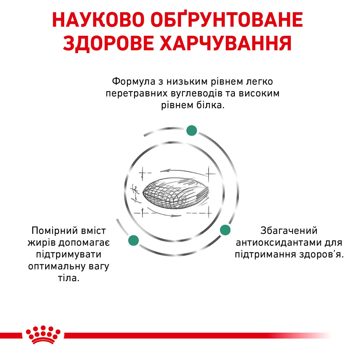 Сухий лікувальний корм для дорослих котів із цукровим діабетом Royal Canin Veterinary Diabetic s/o index