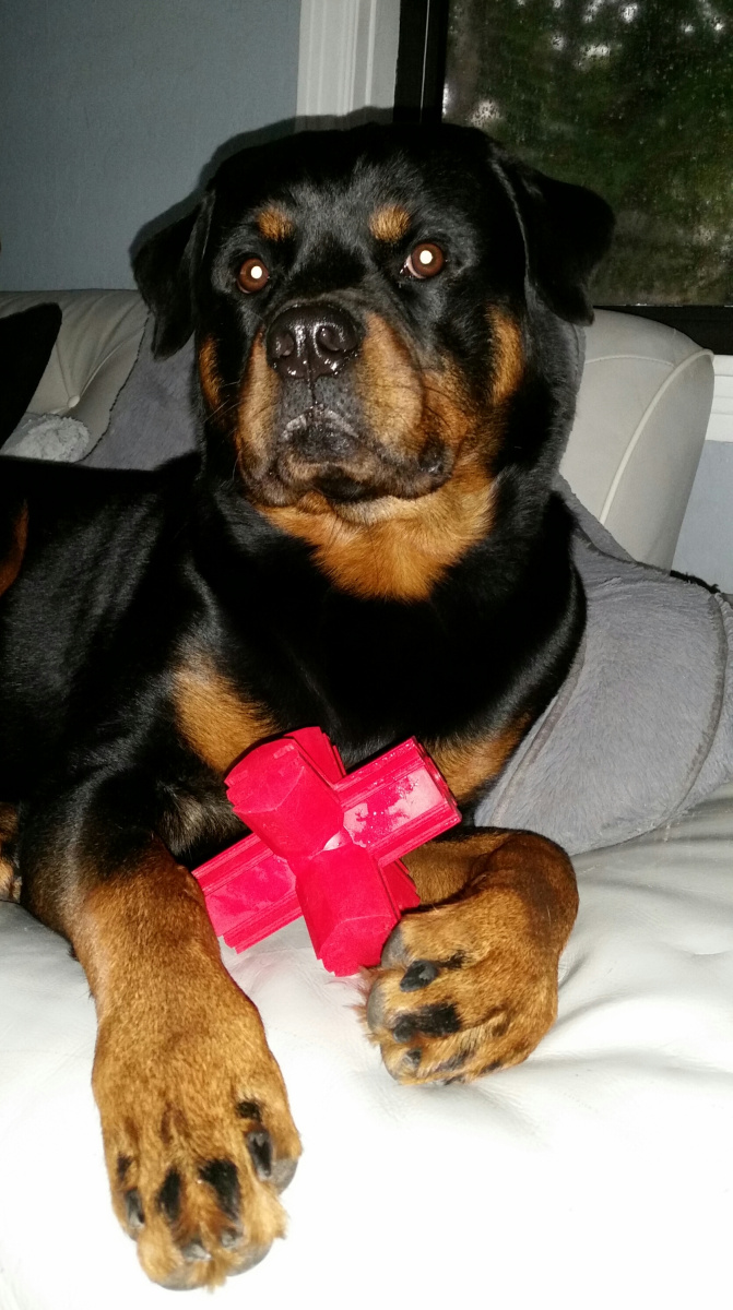 Игрушка для собак Палочка Звезда для лакомств и очищения зубов KONG Jump'N Jack