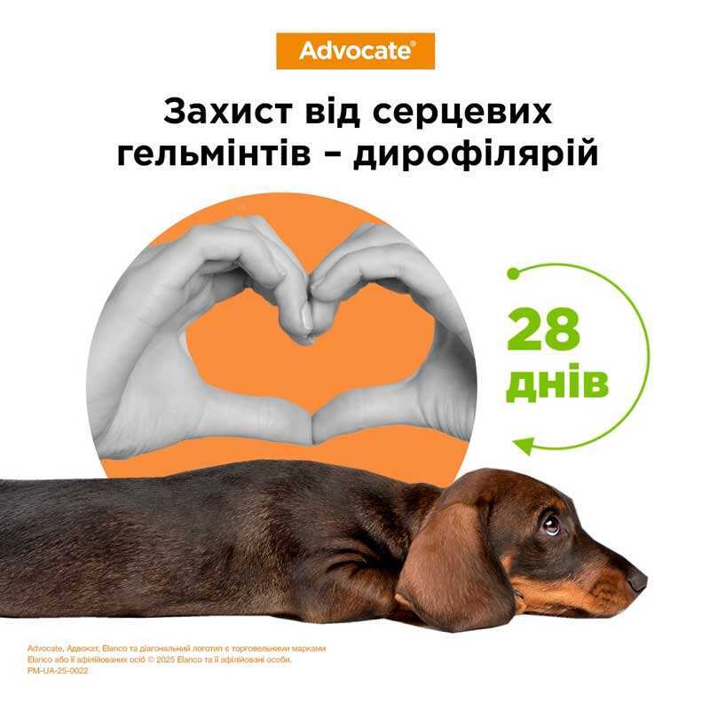 Антипаразитарные капли для собак весом 10-25 кг от блох, гельминтов и кожных клещей Адвокат Elanco Advocate Dogs