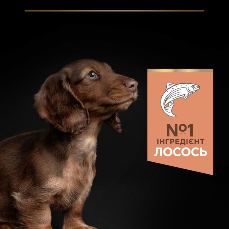 Сухой корм с лососем для щенков маленьких пород с чувствительной кожей Purina Pro Plan Small & Mini Sensitive Skin Puppy Salmon