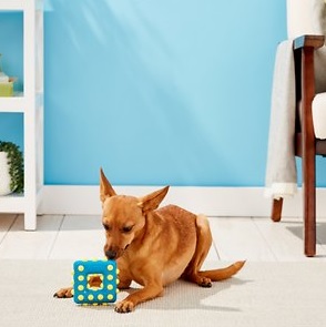 Іграшка для собак Квадрат для очищення зубів та ясен KONG Dotz Square