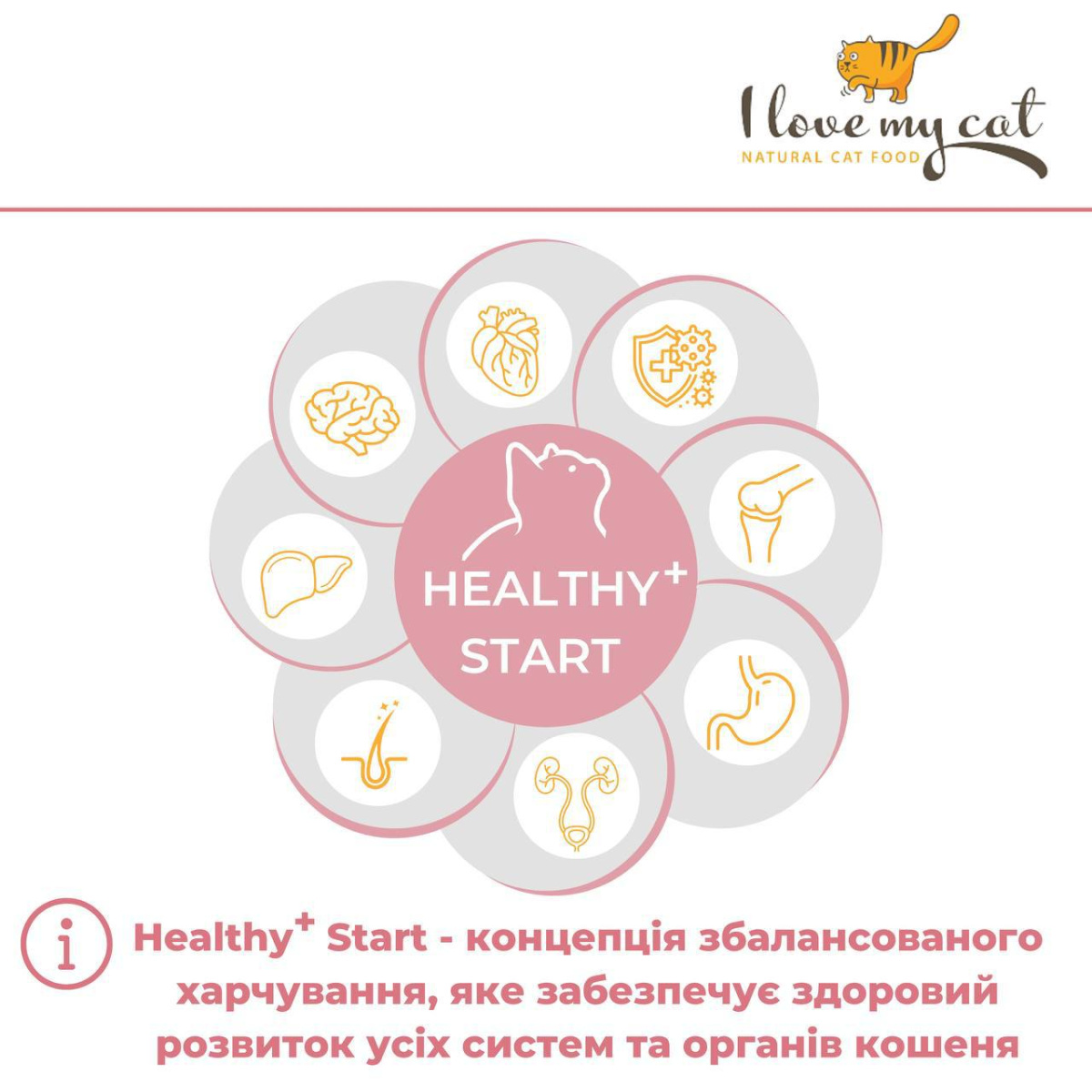 Беззернова консерва для кошенят холістик з куркою, таурином та пребіотиком I Love my cat Kitten Chicken Беззернова консерва для кошенят холістик з куркою, таурином та пребіотиком I Love my cat Kitten Chicken