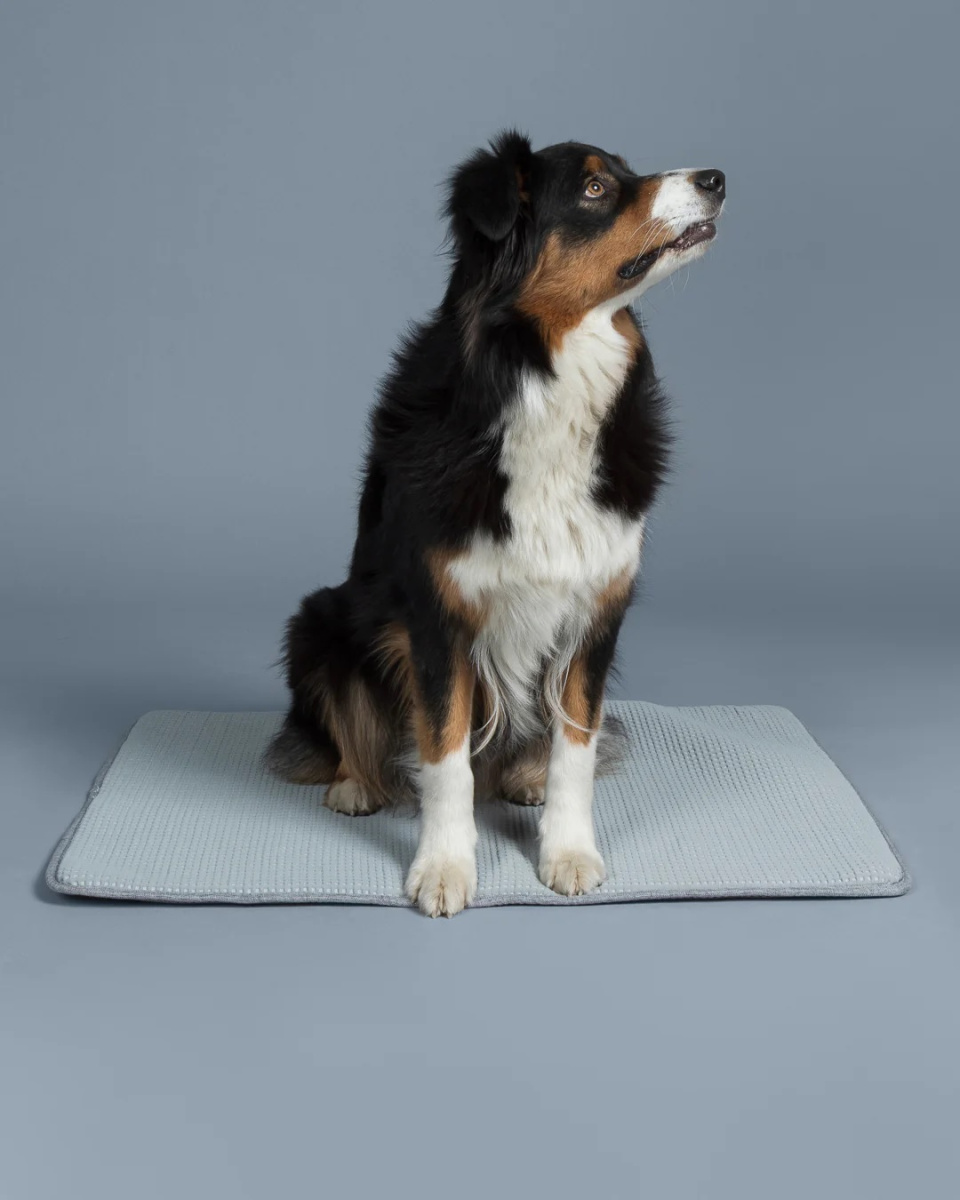 Інноваційна охолоджуюча підстилка для собак та котів PAIKKA Cooling Blanket Grey