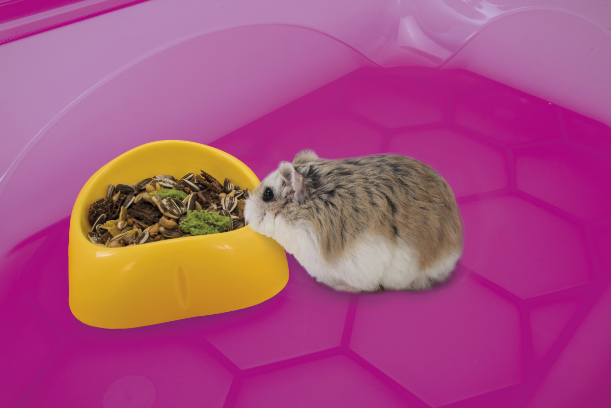 Маленька пластикова миска для гризуна Imac Mini Bowl