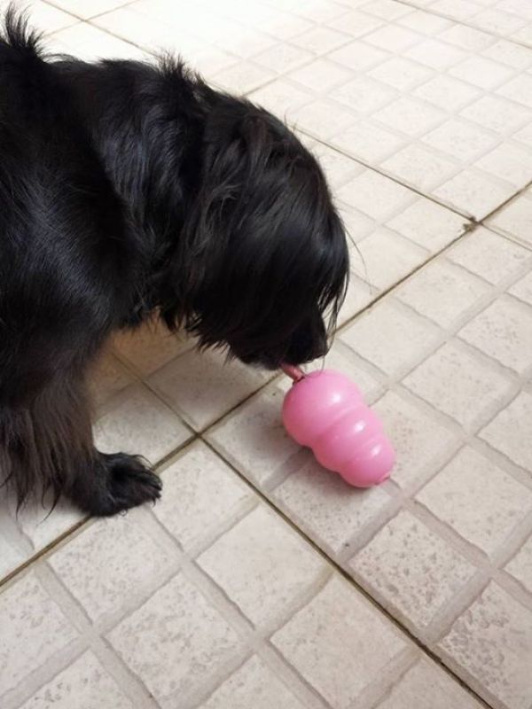 Іграшка для цуценят Конг Розвиваючий для ласощів KONG Puppy Ball Іграшка для цуценят Конг Розвиваючий для ласощів KONG Puppy Ball