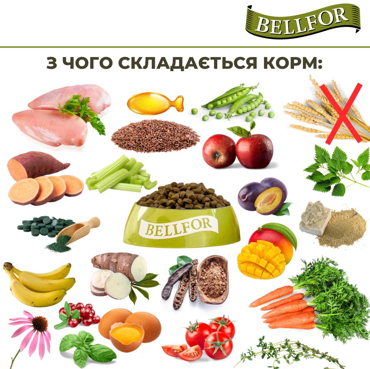 Беззерновой питательный сухой корм холистик с курицей для щенков и юниоров Bellfor Freiland Schmaus Junior