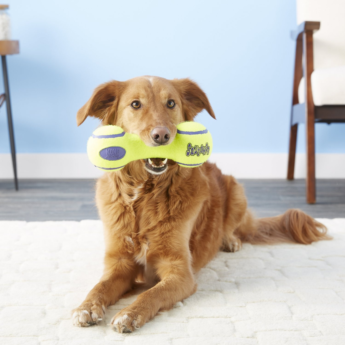 Іграшка для собак Гантель Дбайливий догляд за зубами KONG AirDog Squeaker Dumbbell Іграшка для собак Гантель Дбайливий догляд за зубами KONG AirDog Squeaker Dumbbell