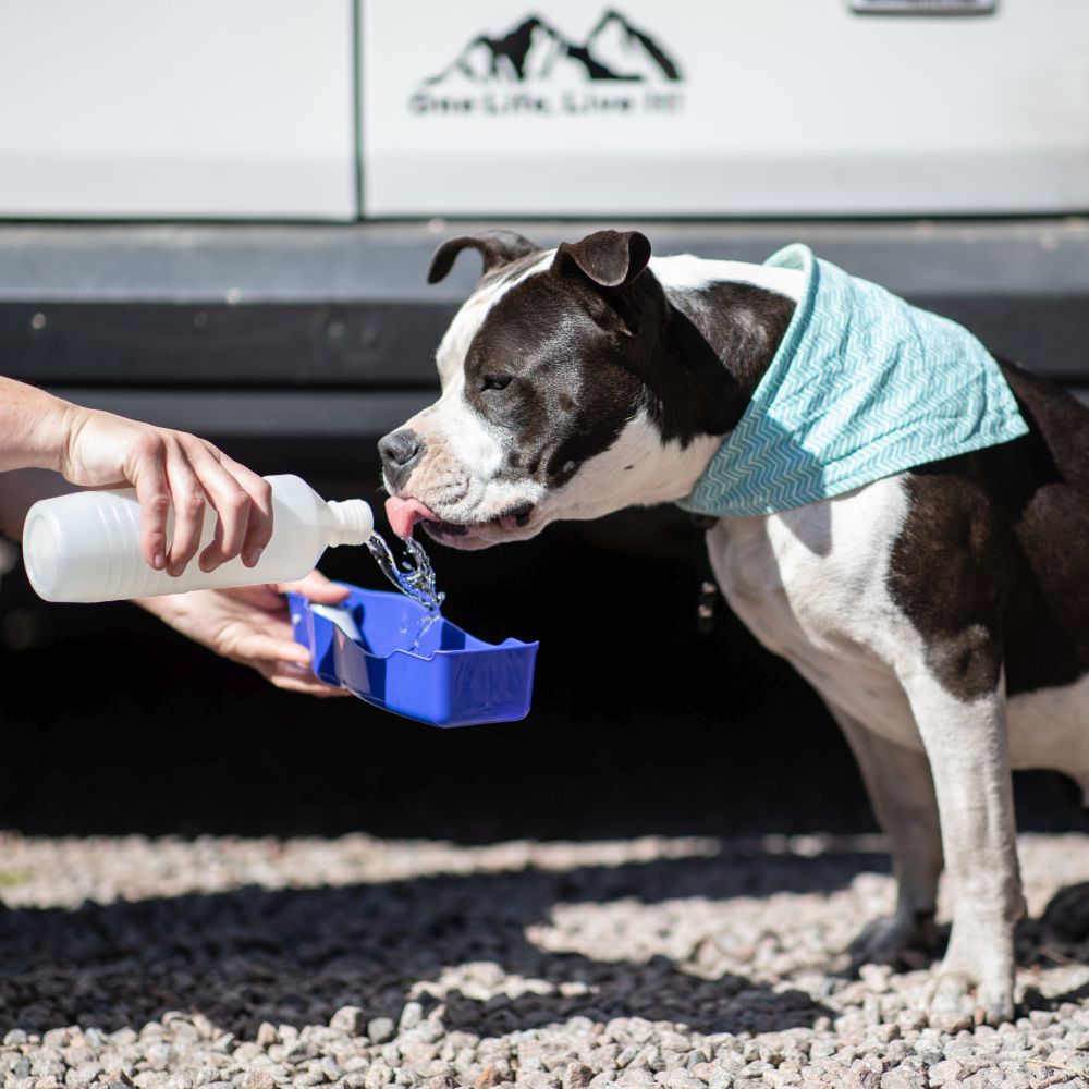 Дорожная поилка с чашей для комфортного питья собак Travel 2 in 1 Nobby