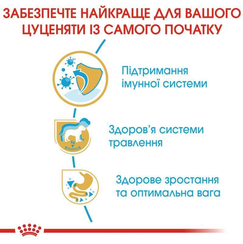 Сухой корм для щенков породы Лабрадор до 15 месяцев Royal Canin Labrador Retriever Puppy