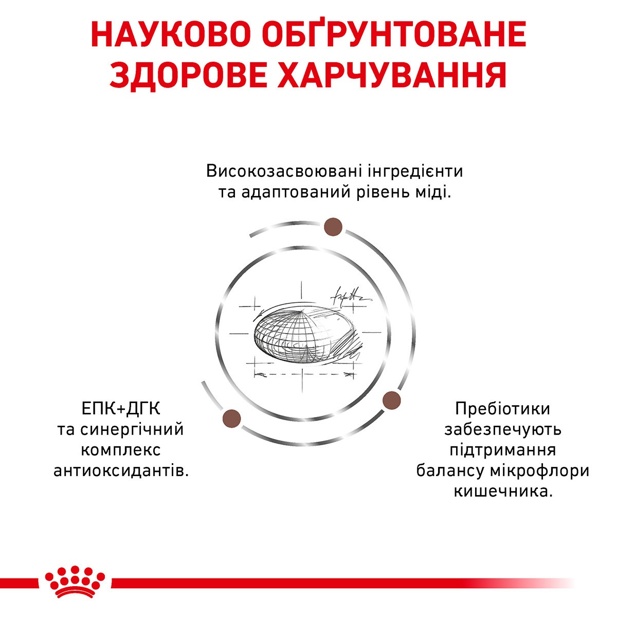 Сухой лечебный корм для взрослых котов при заболеваниях печени Royal Canin Veterinary Hepatic s/o index