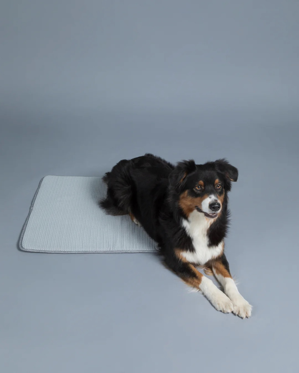 Інноваційна охолоджуюча підстилка для собак та котів PAIKKA Cooling Blanket Grey