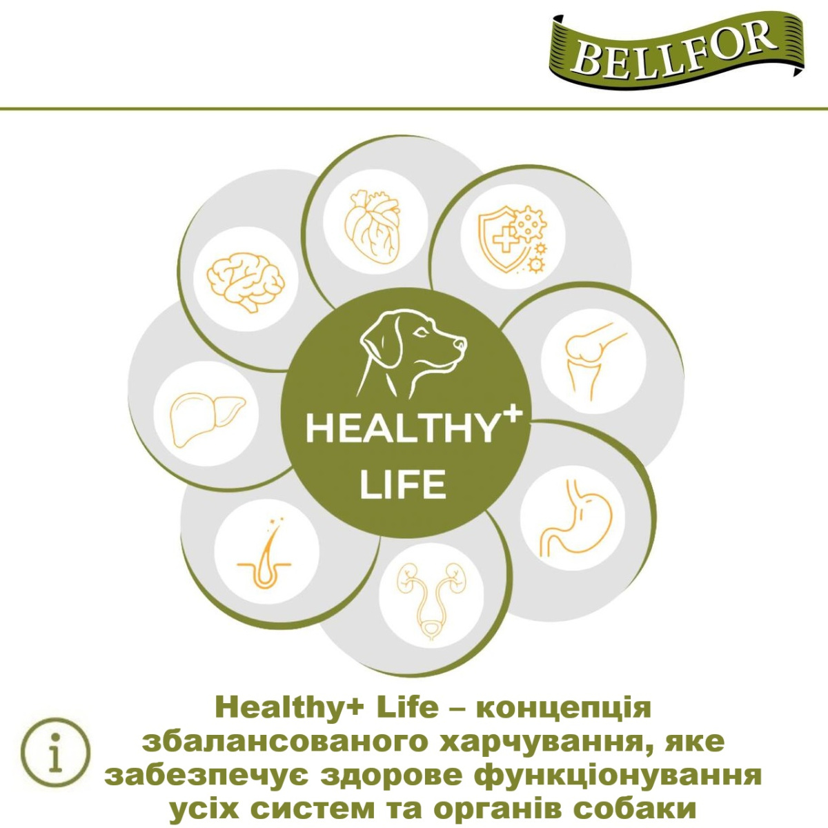 Беззерновой сухой корм для собак холистик холодного прессования с курицей Bellfor Wiesen-Schmaus