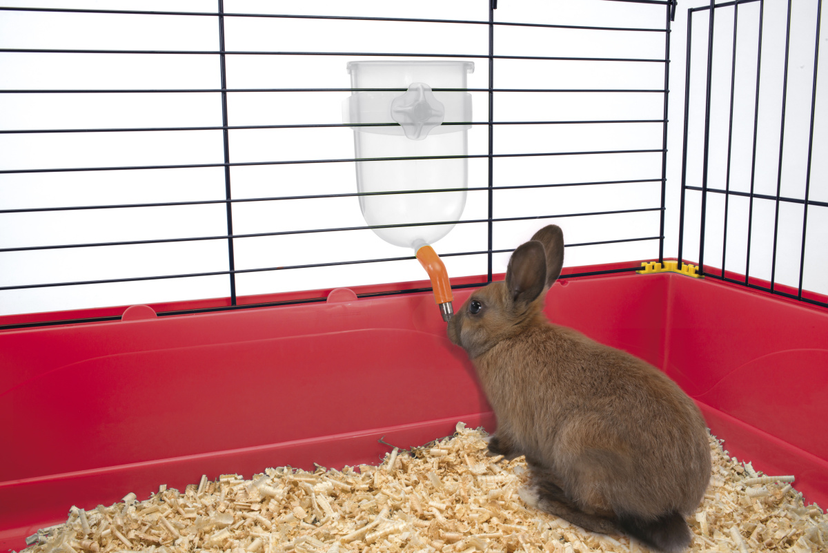 Ніпельна напувалка з тримачем для гризуна Imac Bibber 400