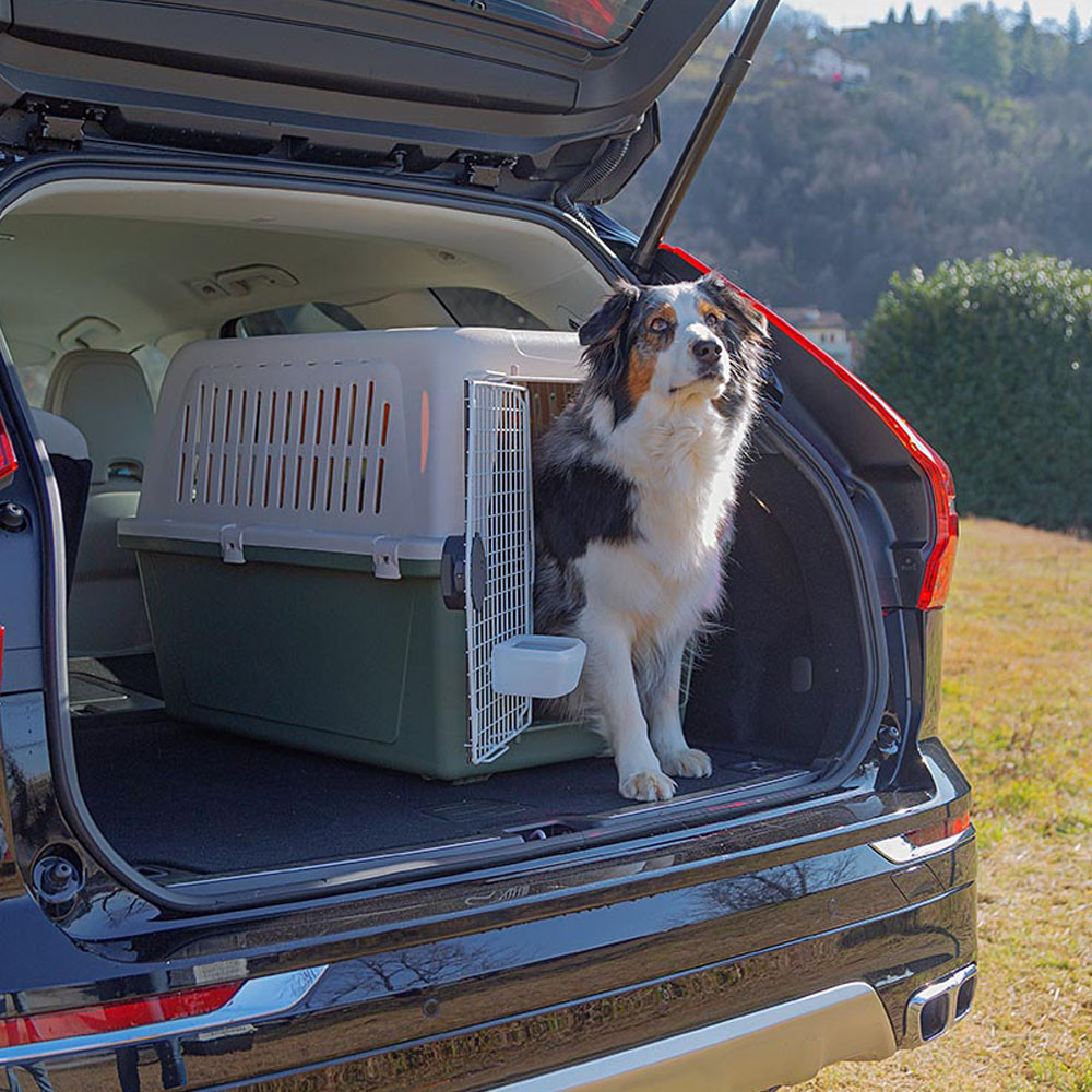 Переноска для средних собак весом до 30 кг Atlas 50 Classic Ferplast