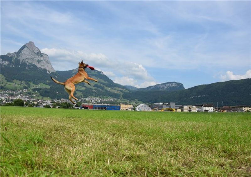 Игрушка для собак Конг Летающий диск Фрисби KONG Flyer