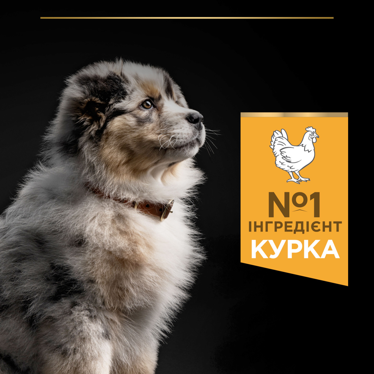 Сухий корм для здорового розвитку цуценят середніх порід з Куркою Purina Pro Plan Medium Puppy Healthy Start Chicken