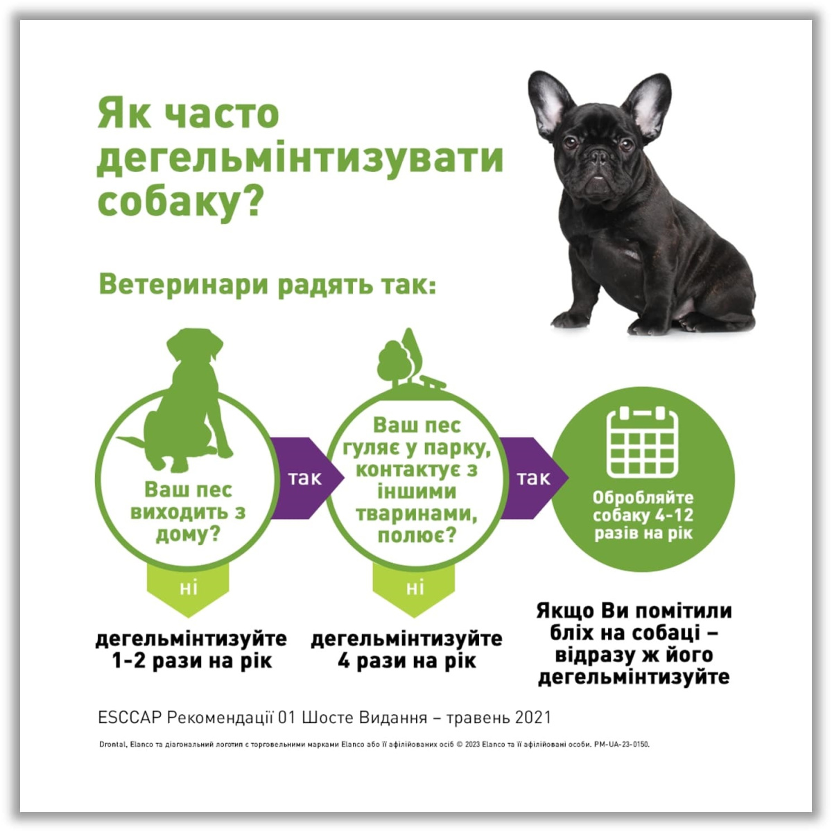 Таблетки для цуценят та дорослих собак проти гельмінтів та лямблій Дронтал Плюс Elanco Drontal Plus Puppies & Dogs