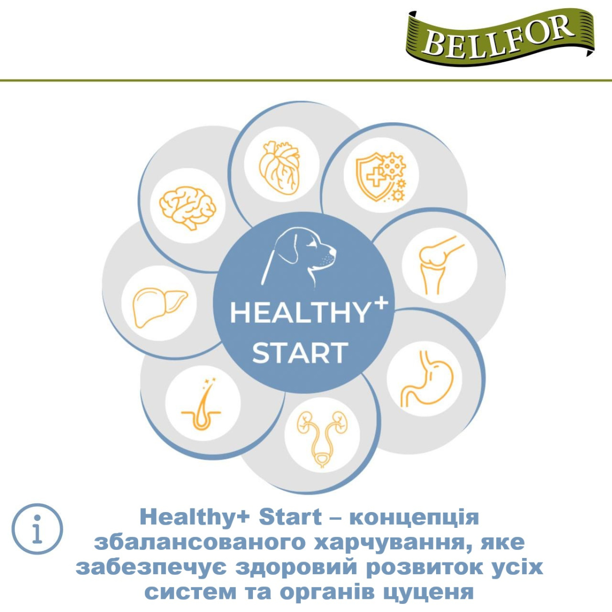 Беззерновой сухой корм для щенков холистик холодного прессования с курицей Bellfor Wiesen-Schmaus Junior