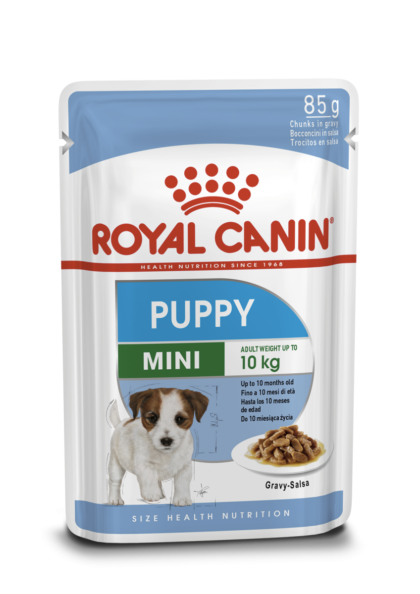 Влажный корм для щенков маленьких пород в возрасте от 2 до 10 месяцев Royal Canin Mini Puppy Влажный корм для щенков маленьких пород в возрасте от 2 до 10 месяцев Royal Canin Mini Puppy