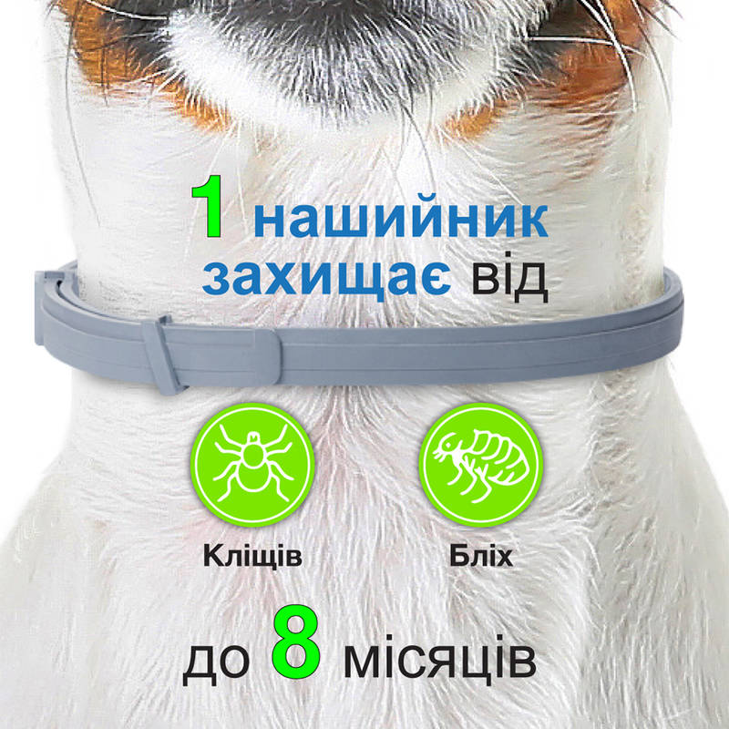 Противопаразитарный ошейник для собак и котов весом до 8 кг от блох, клещей и власоедов Форесто Elanco Foresto Dogs & Cats