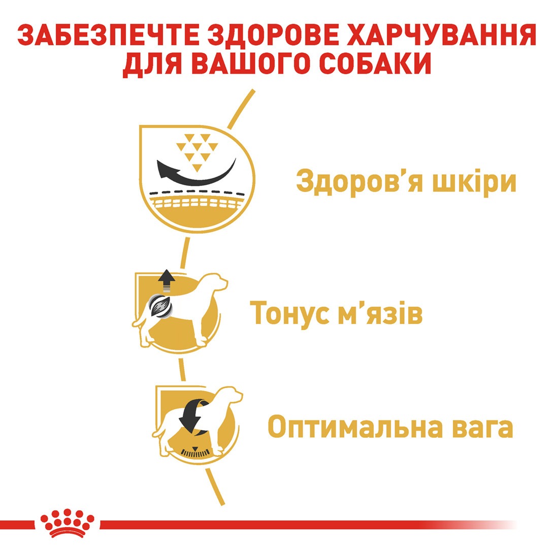 Сухой корм для собак породы Мопс от 10 месяцев Royal Canin Pug Adult 