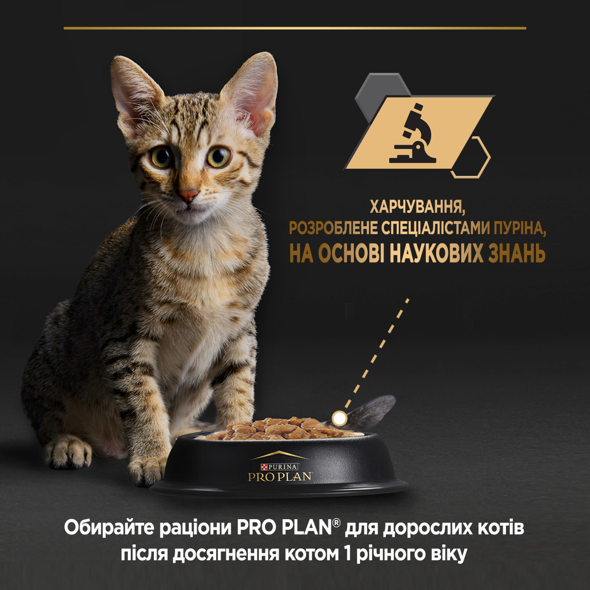 Консерва для котят в возрасте от 6 недель до 3 месяцев Мусс с курицей Purina Pro Plan Baby Kitten Healthy Start Chicken