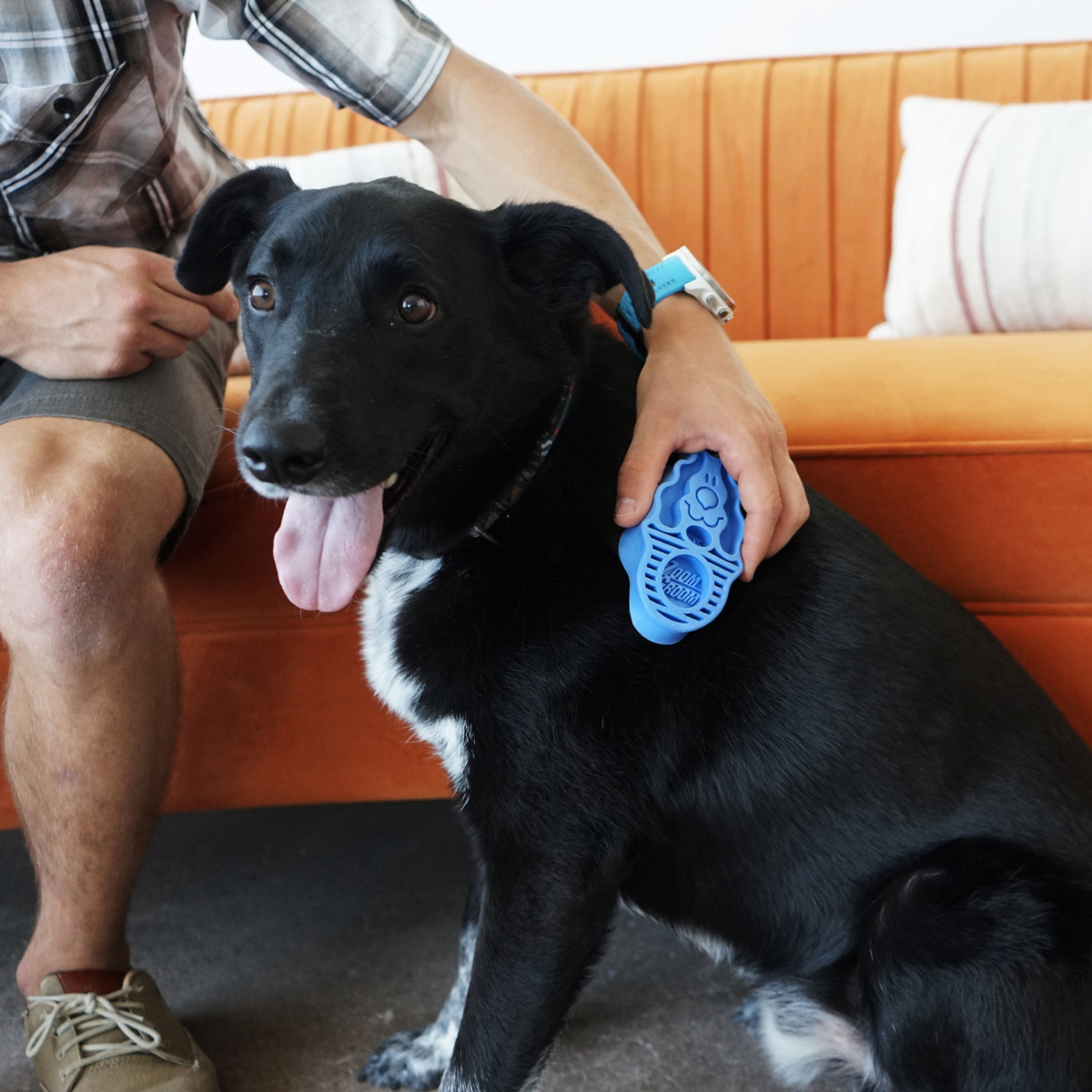 Масажна щітка для собак KONG ZoomGroom Boysenberry