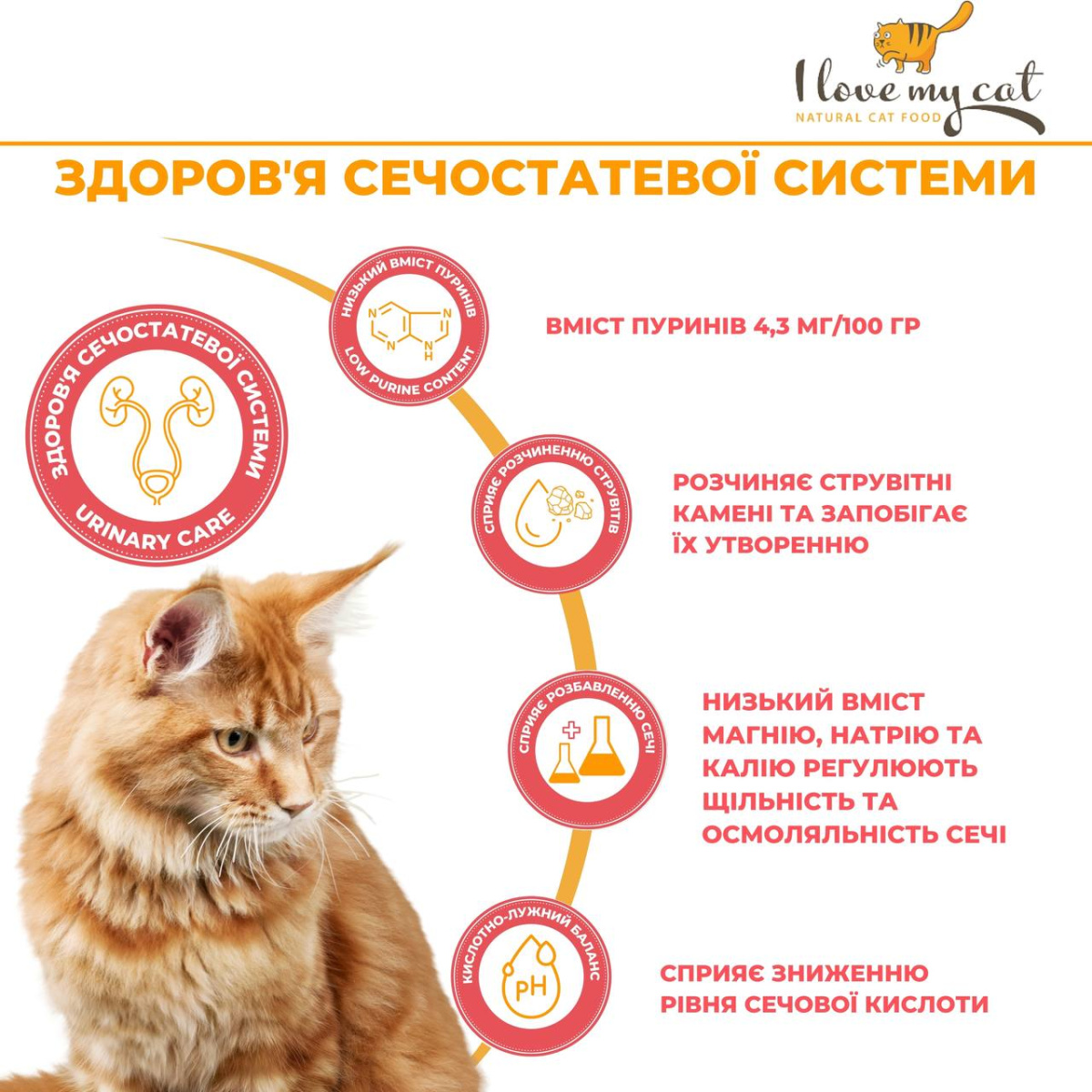 Гіпоалергенна беззернова консерва для котів холістик з білком комах та урінарі захистом I love my cat Insects Гіпоалергенна беззернова консерва для котів холістик з білком комах та урінарі захистом I love my cat Insects