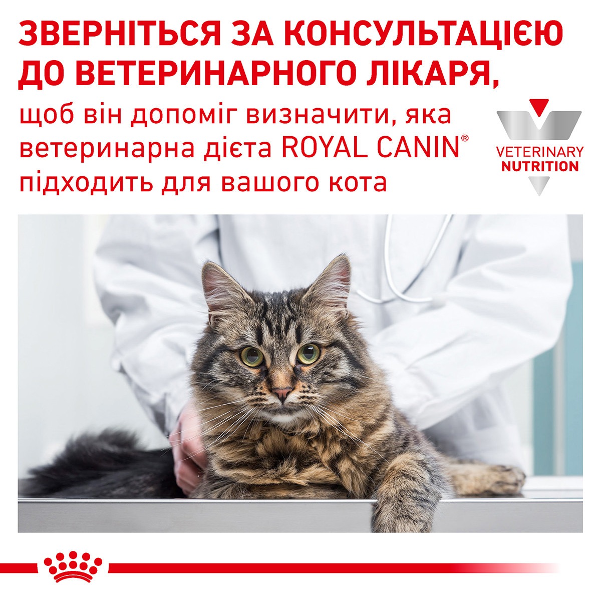 Сухий лікувальний корм для котів при гострих розладах травлення Royal Canin Veterinary Gastrointestinal s/o index