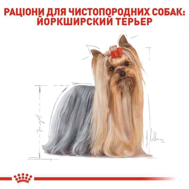 Сухой корм для собак породы Йоркширский Терьер с 10 месяцев Royal Canin Yorkshire Terrier Adult 