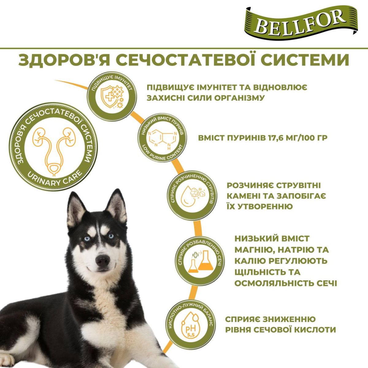Беззерновий сухий корм холістик на основі білка комах для дорослих собак Веllfor Insect Landgut Schmaus Hypoallergenic Беззерновий сухий корм холістик на основі білка комах для дорослих собак Веllfor Insect Landgut Schmaus Hypoallergenic