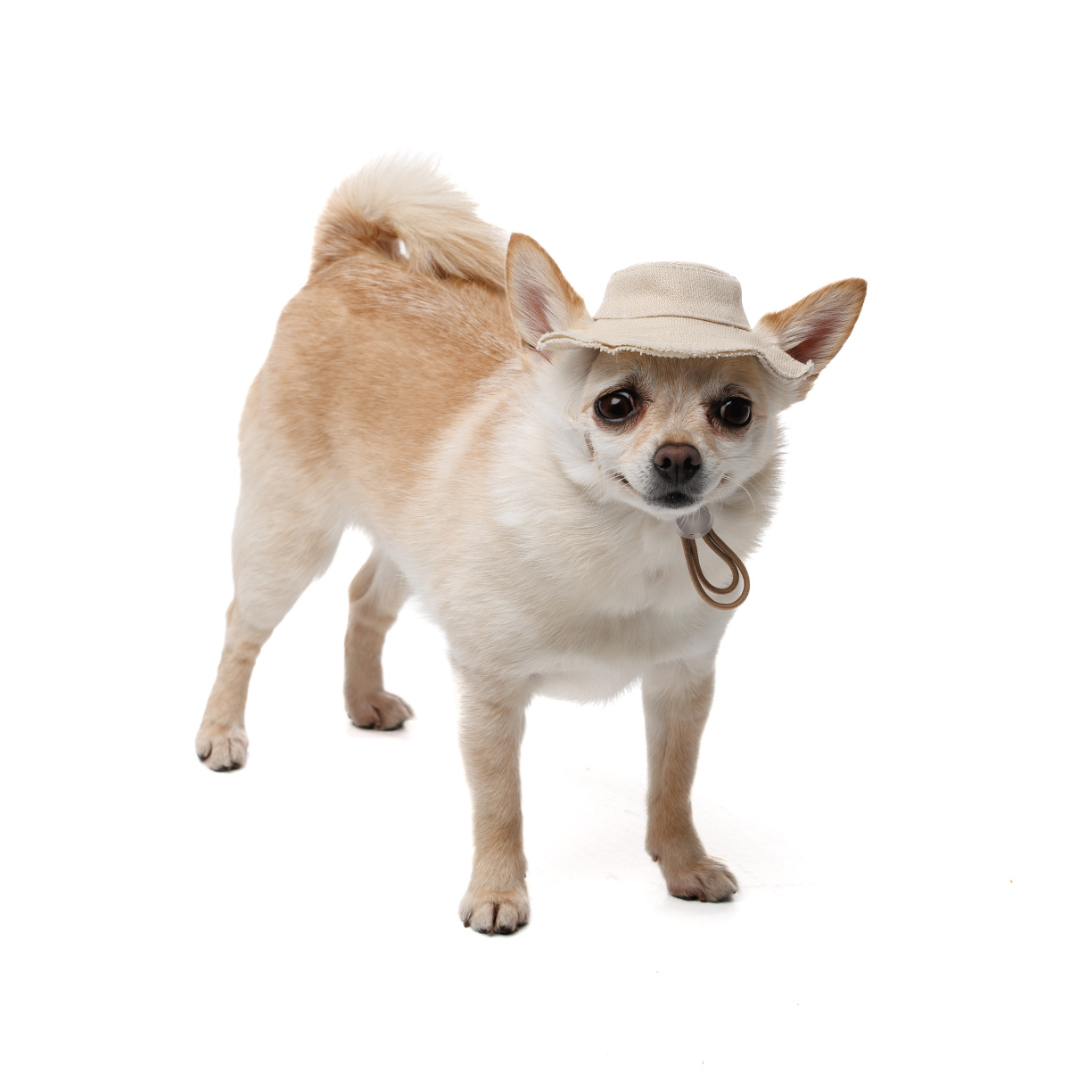 Панама для собак Голд Pet Fashion Dog Sun Hat Gold