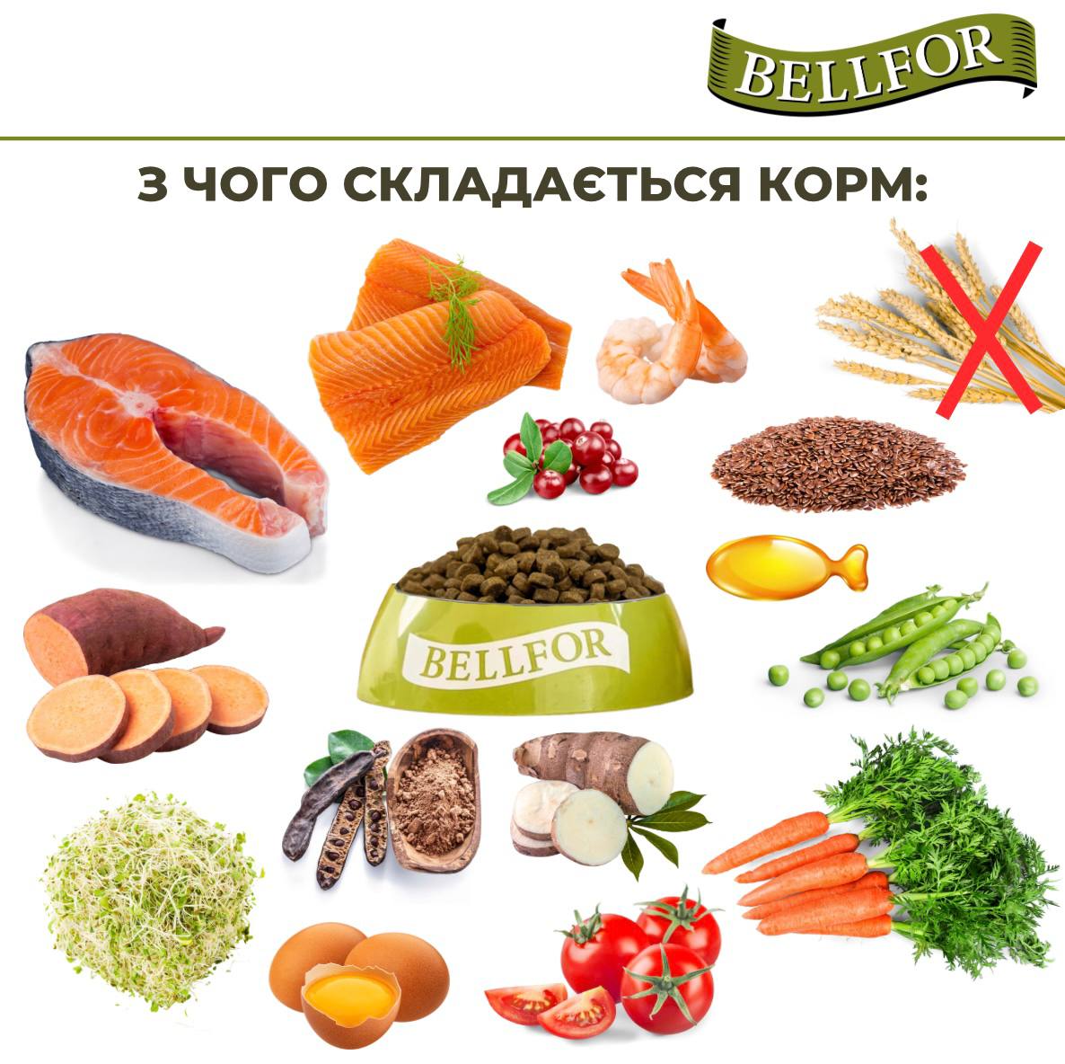 Беззерновой сухой гипоаллергенный корм холистик с лососем и форелью для взрослых собак Bellfor Wildbach Schmaus