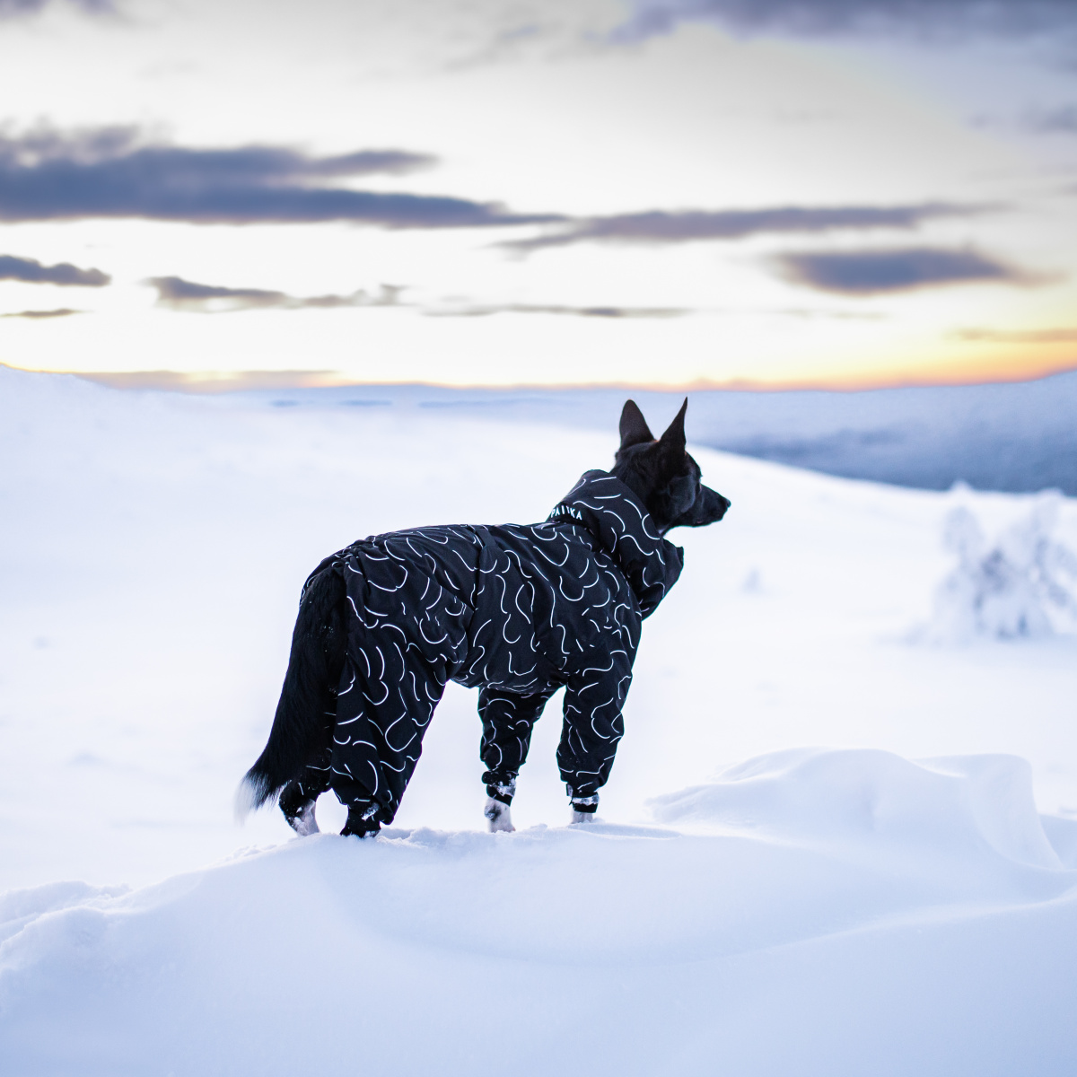Водонепроницаемый зимний костюм со светоотражающим узором для собак PAIKKA Winter Suit