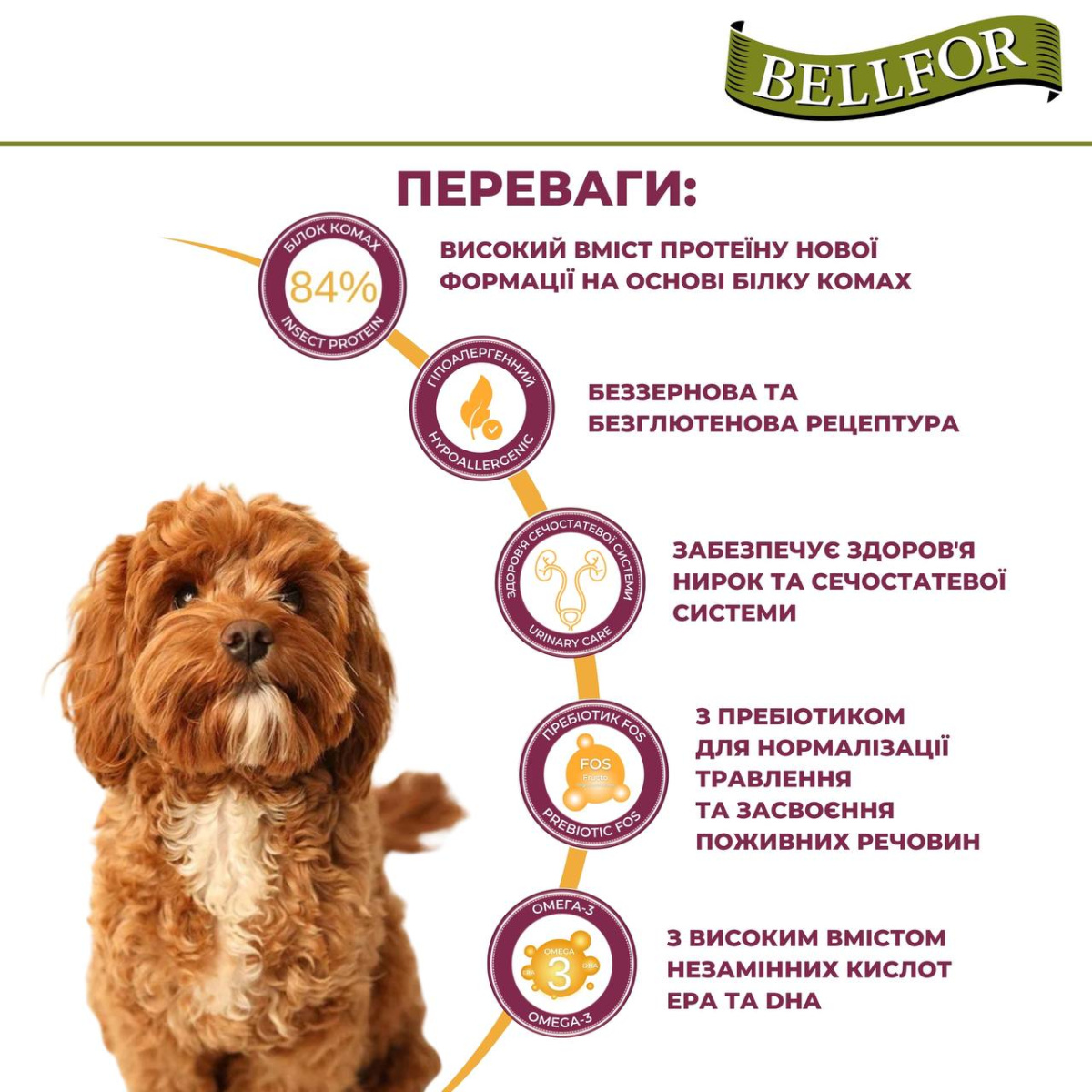Беззерновий сухий корм холістик з білком комах для собак маленьких порід Bellfor Insect Landgut Schmaus Hypoallergenic Mini Беззерновий сухий корм холістик з білком комах для собак маленьких порід Bellfor Insect Landgut Schmaus Hypoallergenic Mini