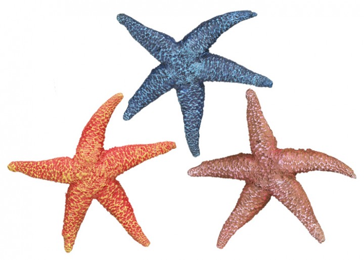 Декор для акваріума Морська зірка Starfish Aqua Ornaments Nobby