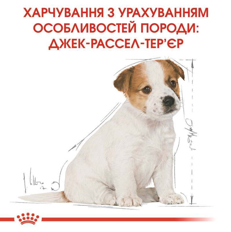 Сухой корм для щенков породы Джек Рассел Терьер в возрасте до 10 месяцев Royal Canin Jack Russel Terrier Puppy 