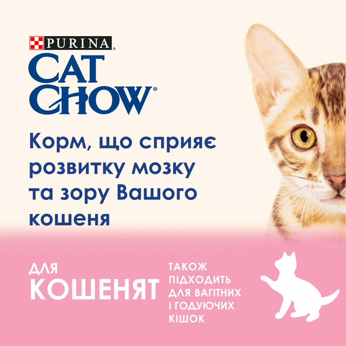Сухий корм з куркою для кошенят, вагітних та годуючих кішок Purina Cat Chow Kitten Rich in Chicken