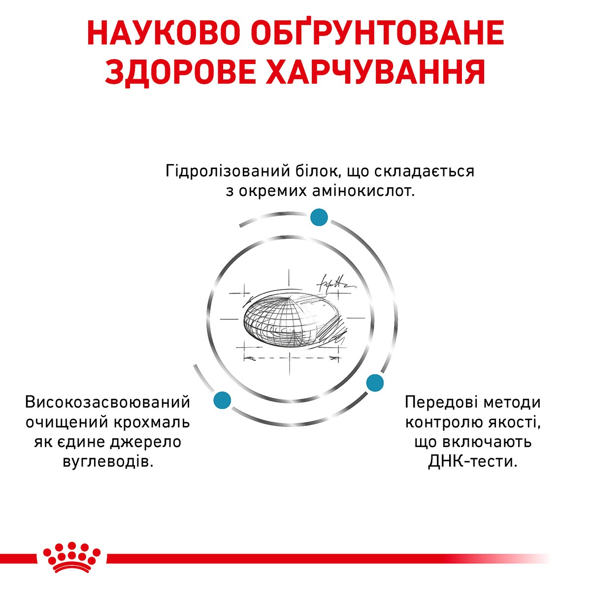 Сухий лікувальний корм для собак при харчовій алергії Royal Canin Veterinary Anallergenic