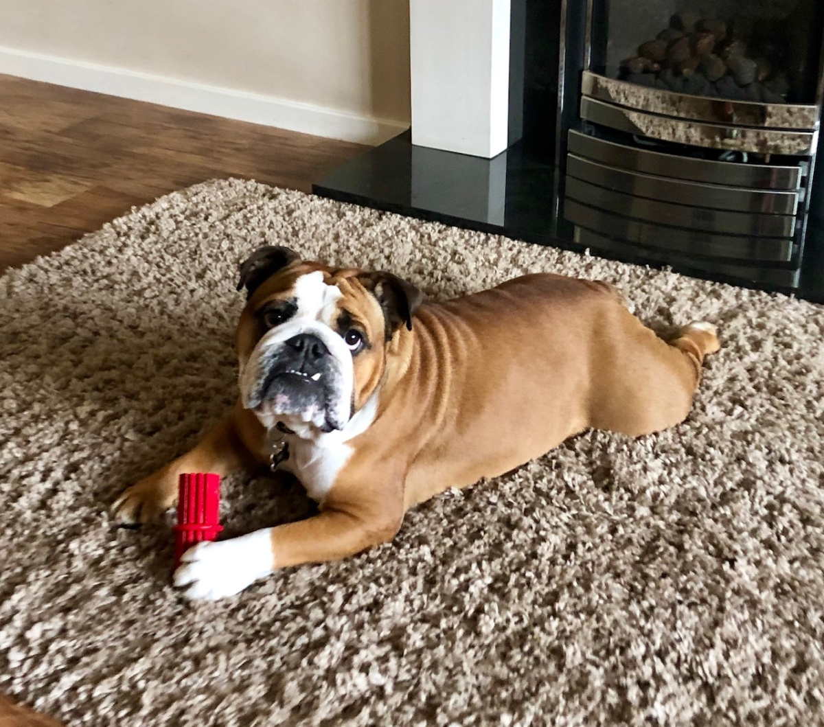 Игрушка для собак Палочка Конг для лакомств и очищения зубов KONG Dental Stick