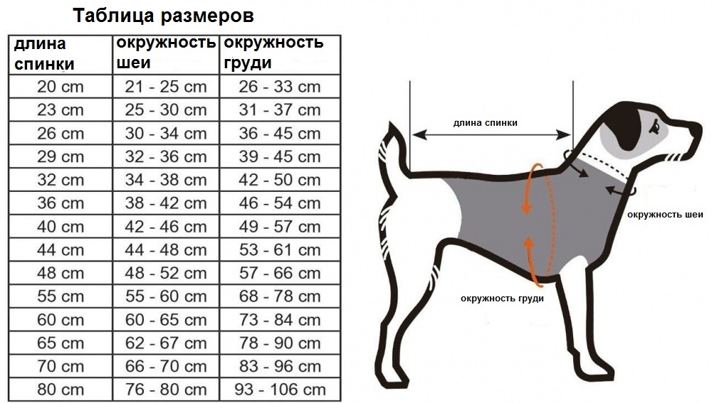 Светр для собак Pati Nobby