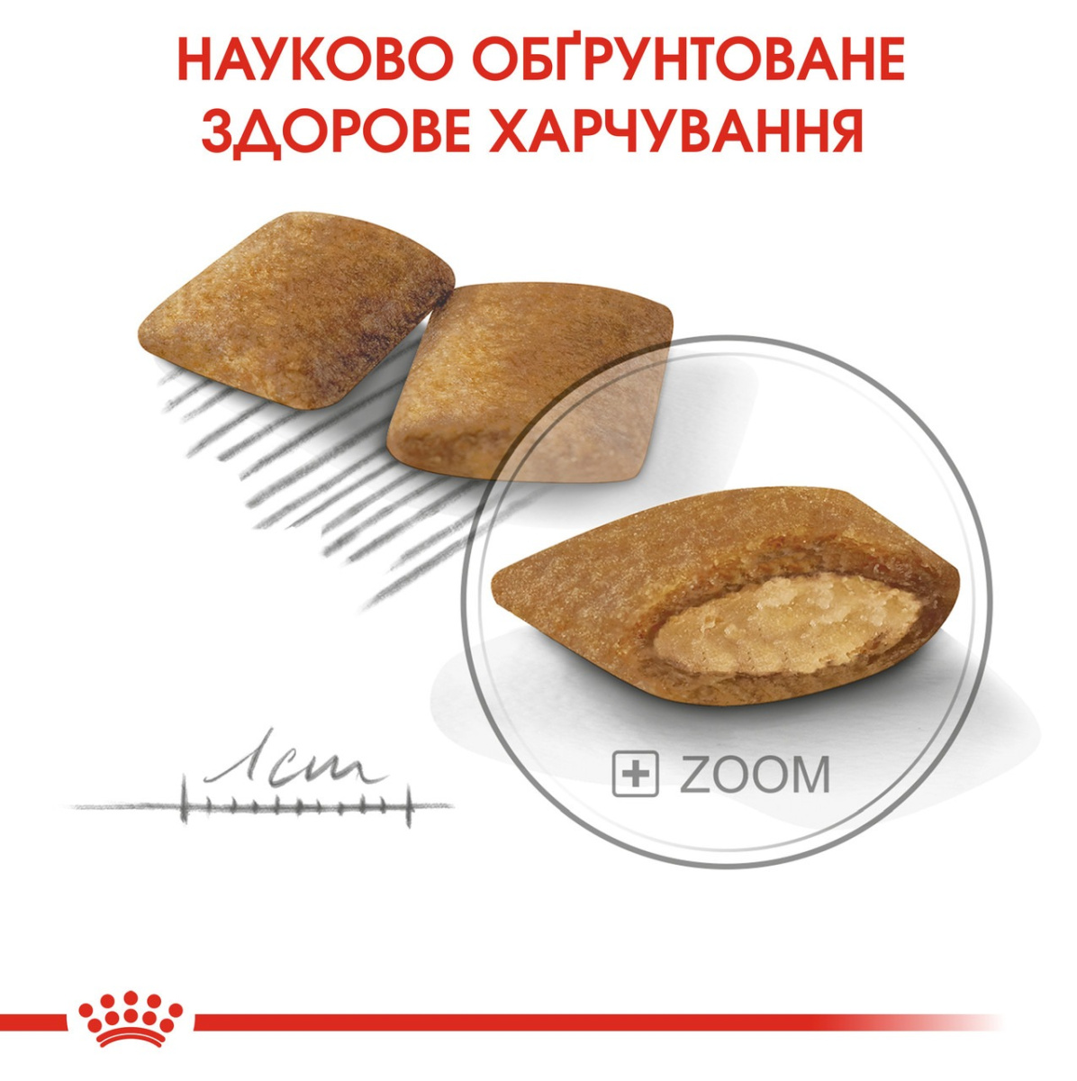 Сухий корм для собак маленьких порід вибагливих у харчуванні Royal Canin Mini Exigent Adult