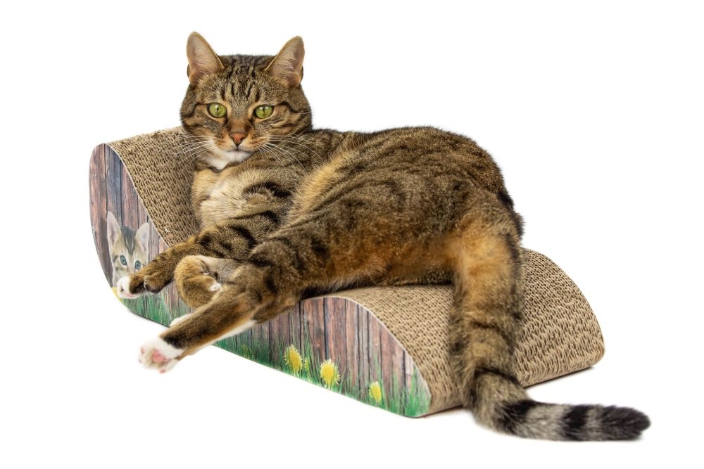 Картонна кігтеточка-дряпка з котячою м'ятою для кішок Lounge Catnip Carton Nobby Картонна кігтеточка-дряпка з котячою м'ятою для кішок Lounge Catnip Carton Nobby